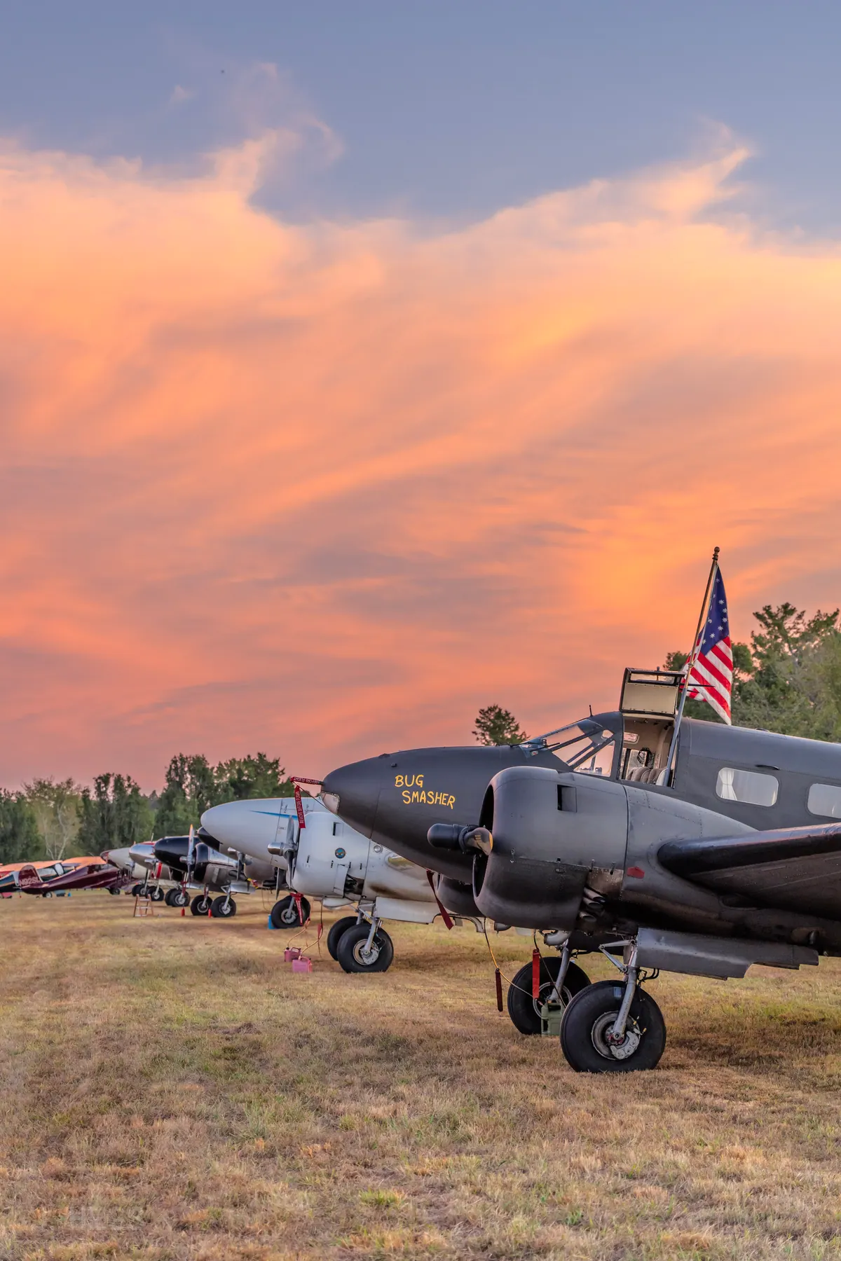 Vertical view of a row of parked Twin Beeches under a vivid orange and pink sunset sky, the dark 'Bug Smasher' nearest with a flag on its roof